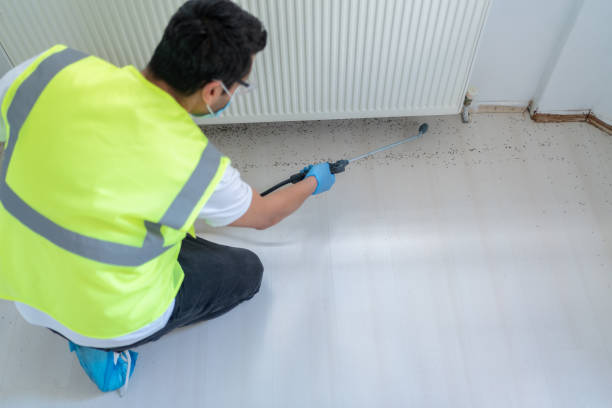 Best Commercial Pest Control  in Milpitas, CA